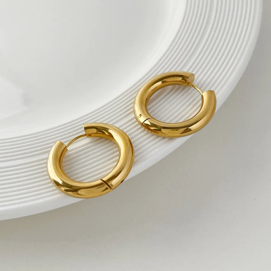 Classic Stainless Steel Hoop Earrings