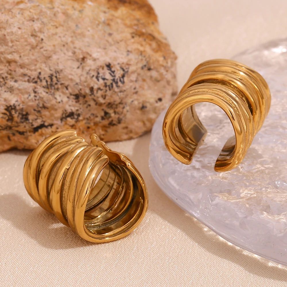 Ray Retro Gold Clip Earrings