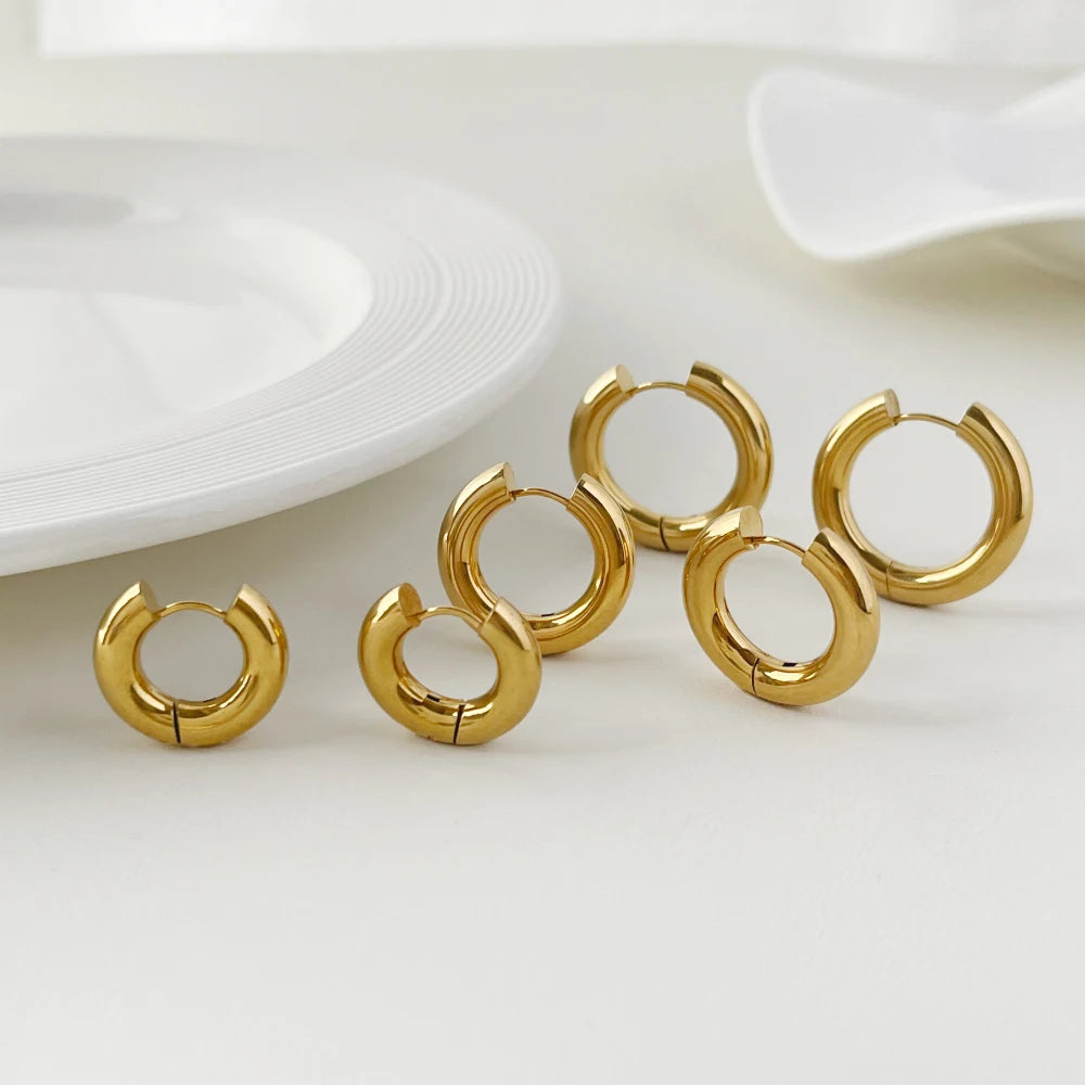 Classic Stainless Steel Hoop Earrings